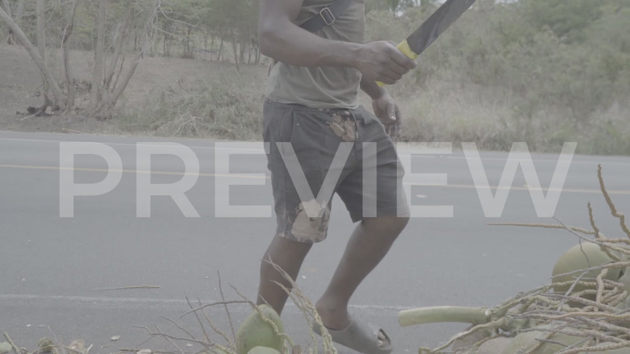 POV_Coconut Vendor-001.mp4