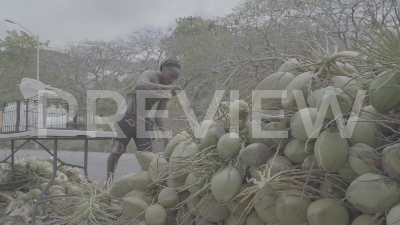 POV_Coconut Vendor-003