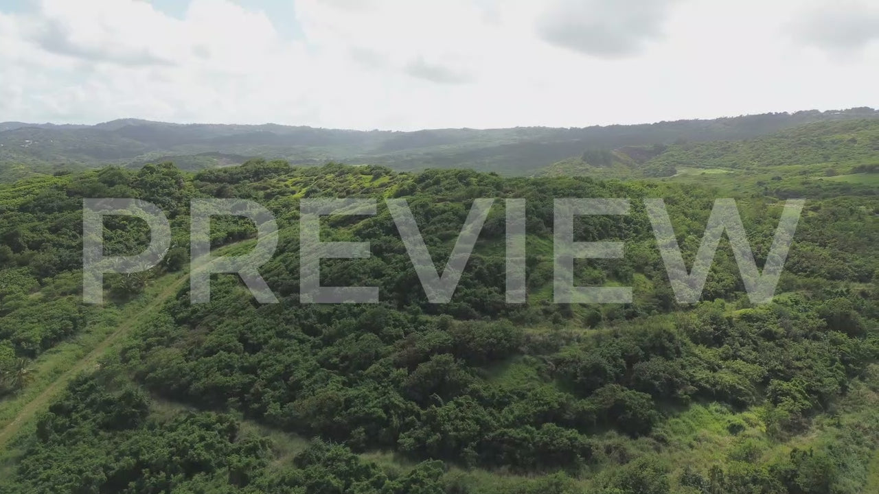 Aerial_St Andrew.Green Landscape.Barbados-001