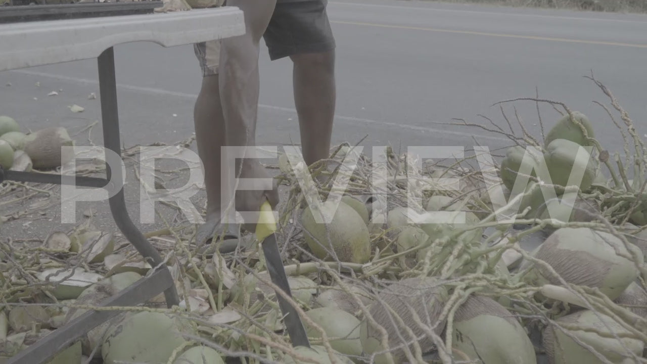 POV_Coconut Vendor-002