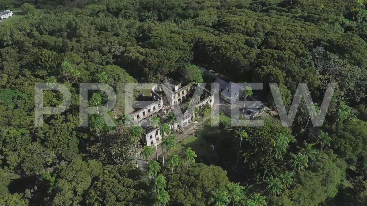 Aerial_Farley Hill Ruins.Barbados-002